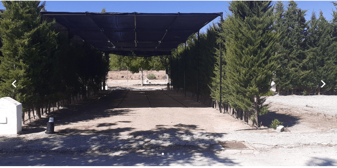 camping la cabañuela gallery 2