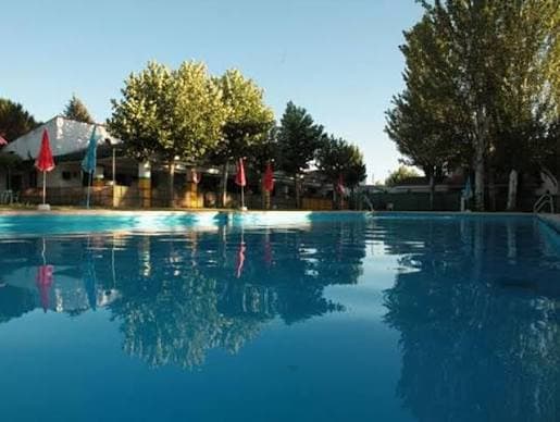 camping despena perros gallery 4