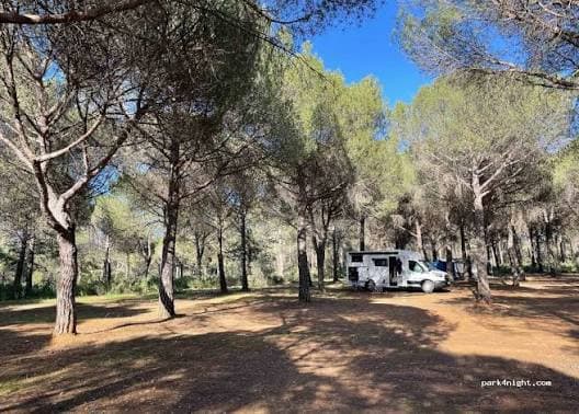 camping despena perros gallery 3