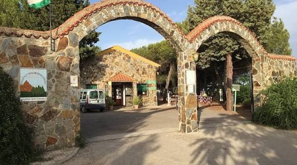 camping despena perros